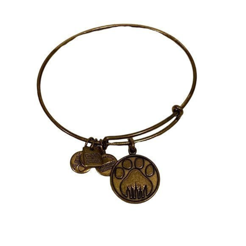 Alex and Ani Charity by Design Gold Tone Bangle